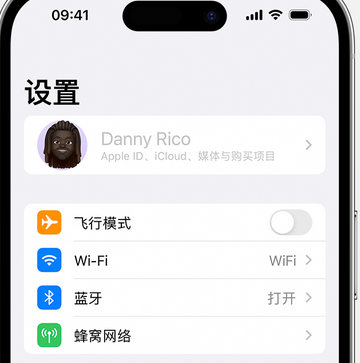 阳江appleID维修服务iPhone设置中Apple ID显示为灰色无法使用 