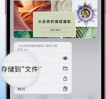 阳江apple维修中心分享iPhone文件应用中存储和找到下载文件