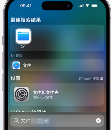 阳江apple维修中心分享iPhone文件应用中存储和找到下载文件 