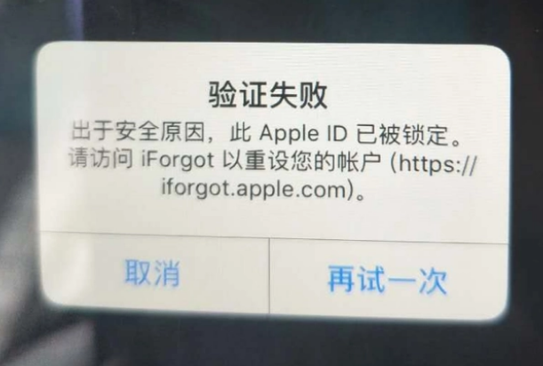 阳江iPhone维修分享iPhone上正常登录或使用AppleID怎么办 