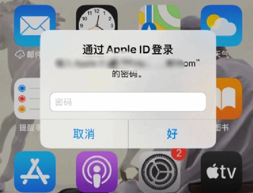 阳江苹果设备维修分享无故多次要求输入AppleID密码怎么办 