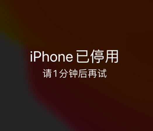 阳江苹果手机维修分享:iPhone 显示“不可用”或“已停用”怎么办？还能保留数据吗？ 