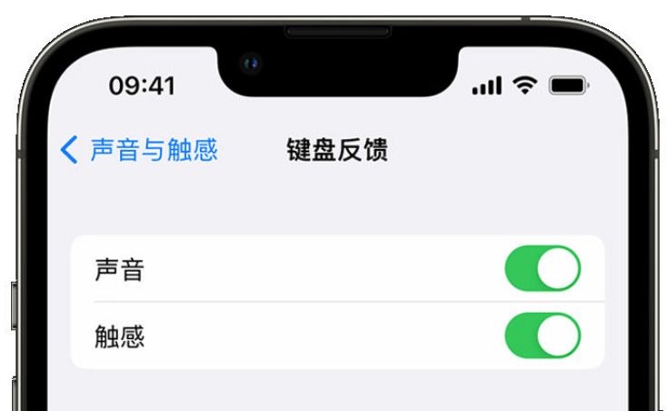 阳江苹果手机维修分享iPhone 14触感键盘使用方法 