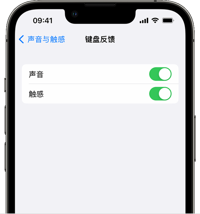 阳江苹果14维修店分享如何在 iPhone 14 机型中使用触感键盘 