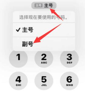 阳江苹果14维修店分享iPhone 14 Pro Max使用副卡打电话的方法 