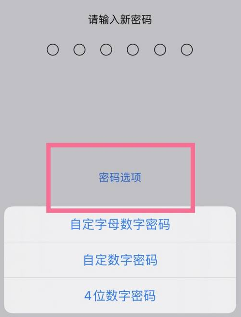 阳江苹果14维修分享iPhone 14plus设置密码的方法 