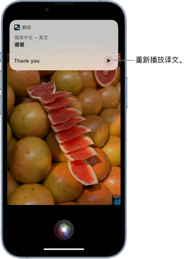 阳江苹果14维修分享 iPhone 14 机型中使用 Siri：了解 Siri 能帮你做什么 