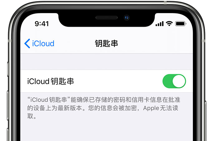 阳江苹果手机维修分享在 iPhone 上开启 iCloud 钥匙串之后会储存哪些信息 