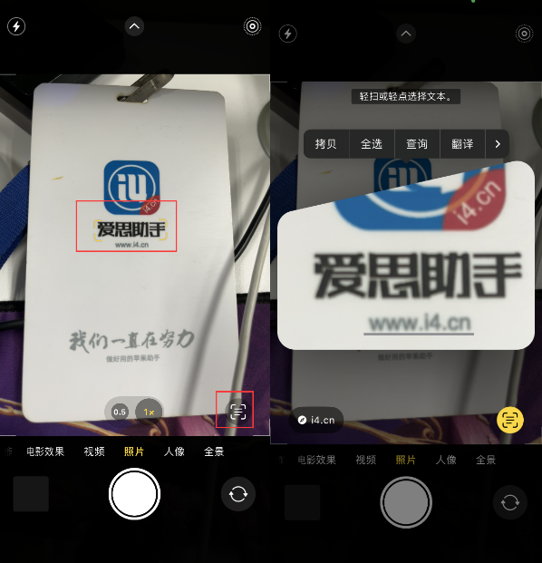 阳江苹果手机维修分享升级iOS 16后如何通过相机翻译文本 
