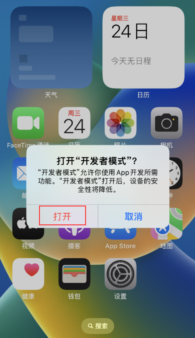 阳江苹果手机维修分享如何打开开发者模式 