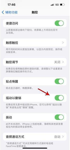 阳江苹果手机维修分享iPhone手机如何设置摇一摇删除文字 