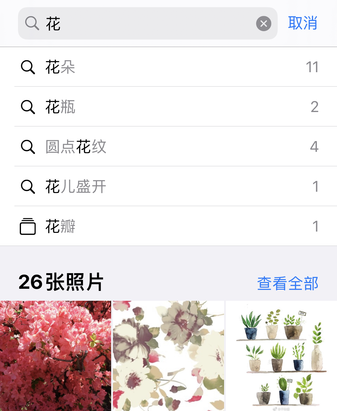 阳江苹果手机维修分享iPhone 小技巧 