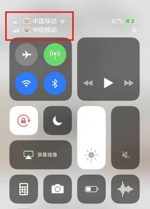 阳江苹果手机维修分享为 iPhone 12 双卡设置标签 