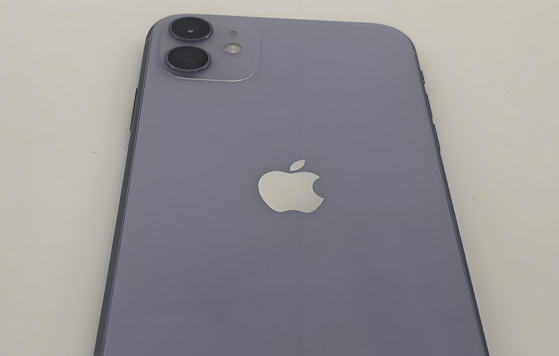 阳江苹果11系统维修分享iPhone11手机系统崩溃无法开机如何解决